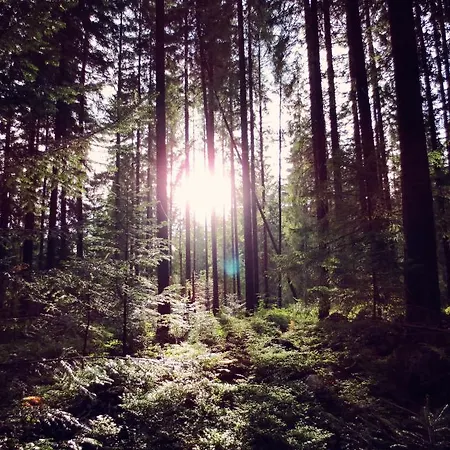 Quarto em Acomodações Particulares Anna *