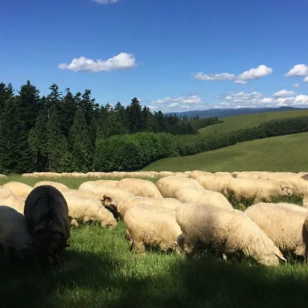 Anna Quarto em Acomodações Particulares Kościelisko