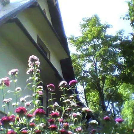 Anna Homestay