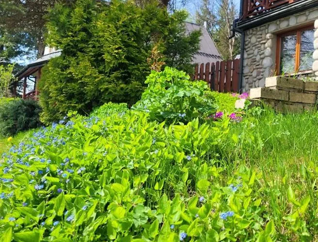 威拉安娜旅馆 民宿 考斯赛力克