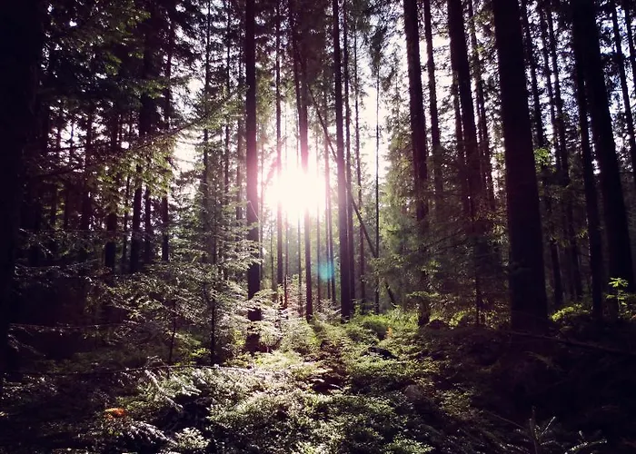 民宿 威拉安娜旅馆 *