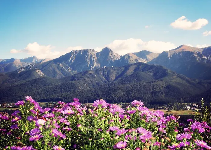 民宿 威拉安娜旅馆 考斯赛力克