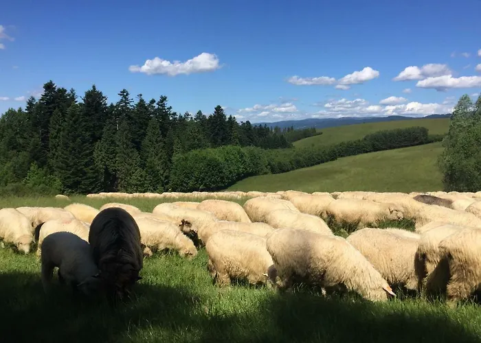 威拉安娜旅馆 民宿 考斯赛力克