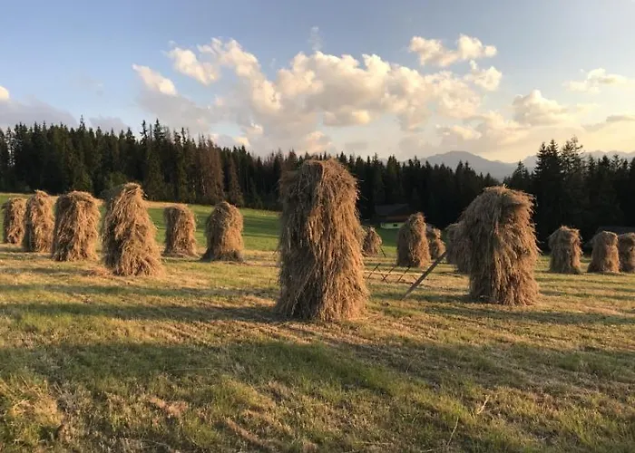 威拉安娜旅馆 民宿 *