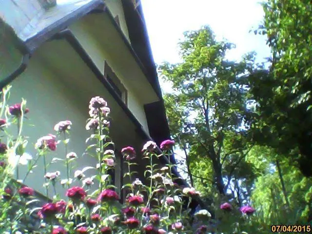 威拉安娜旅馆 民宿